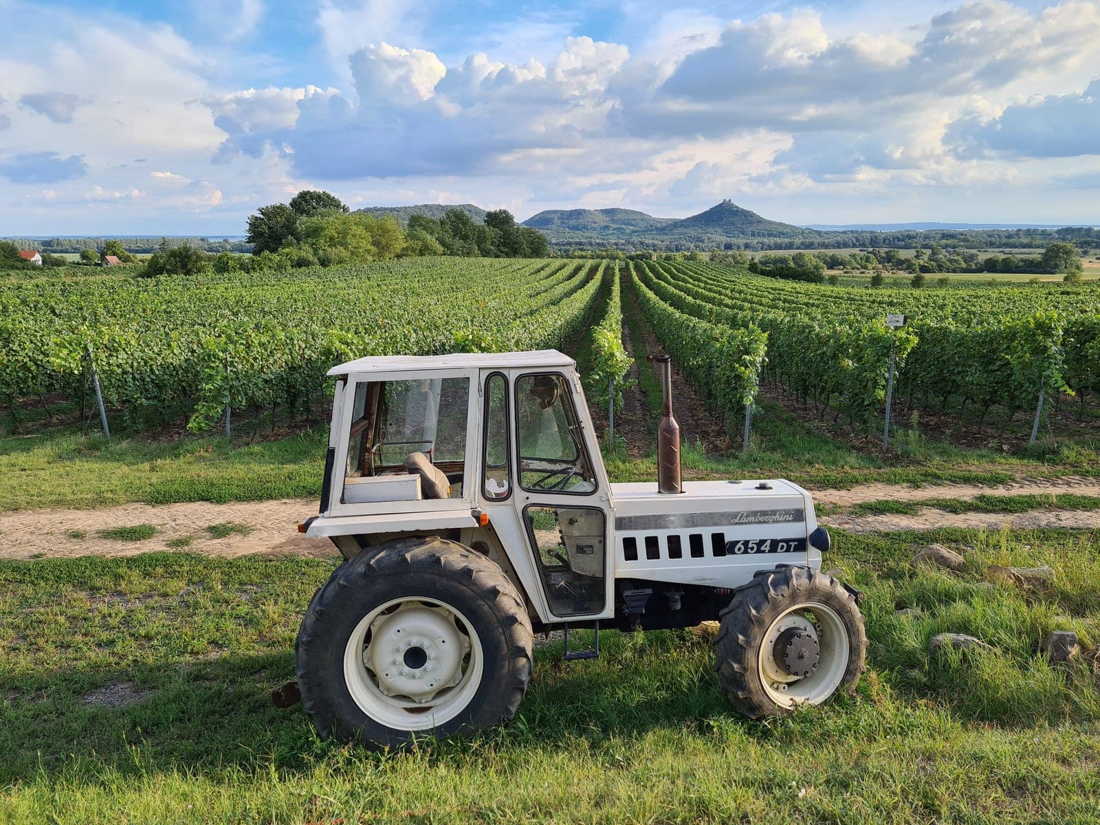 White tractor parked beside a vineyard field