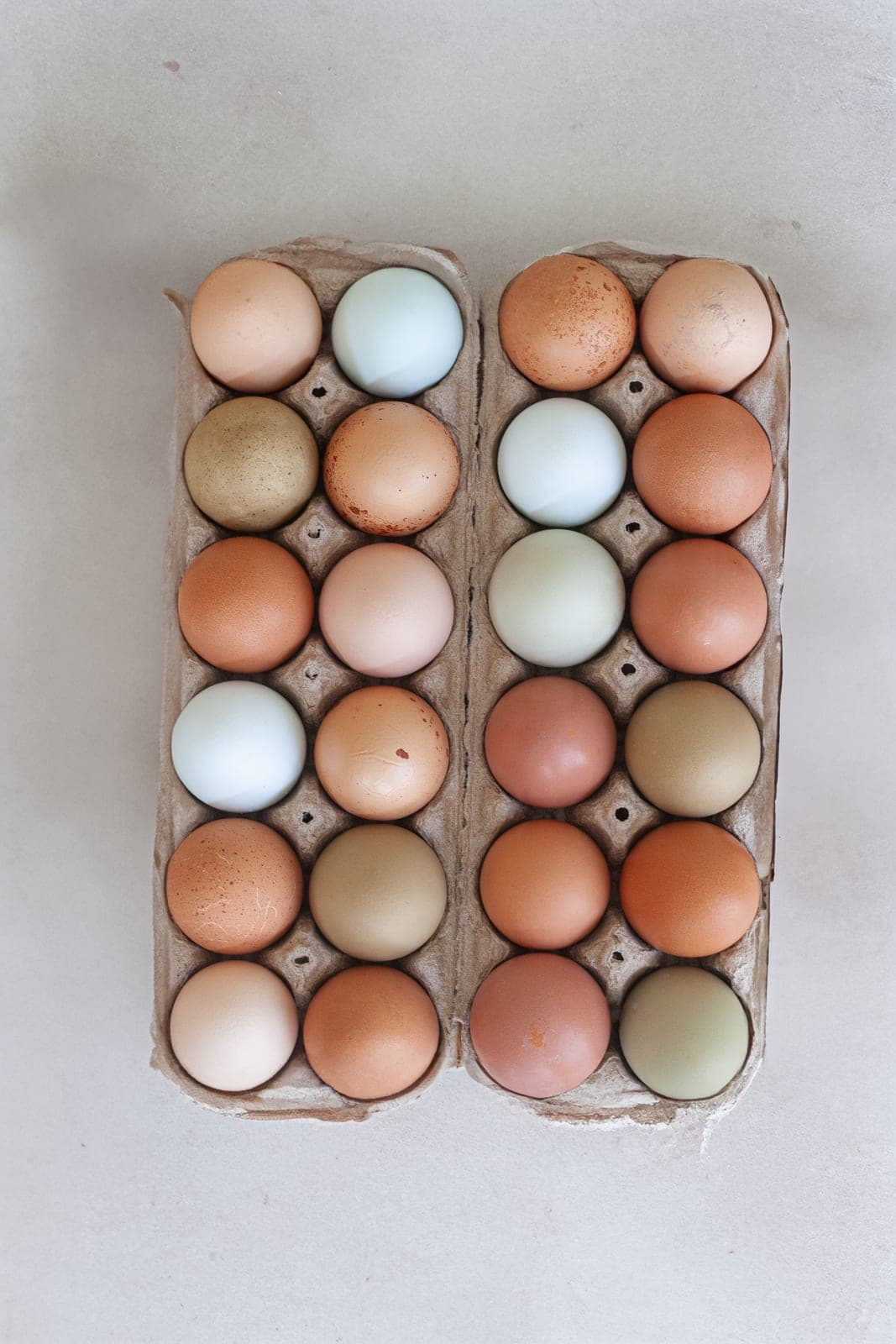Carton of multicolored pasture-raised eggs